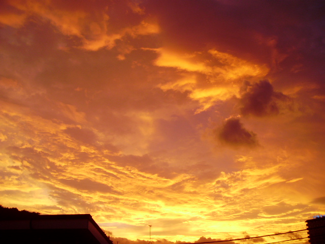 f0153112_20135164.jpg