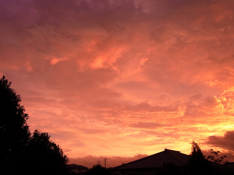 d0059213_224108.jpg