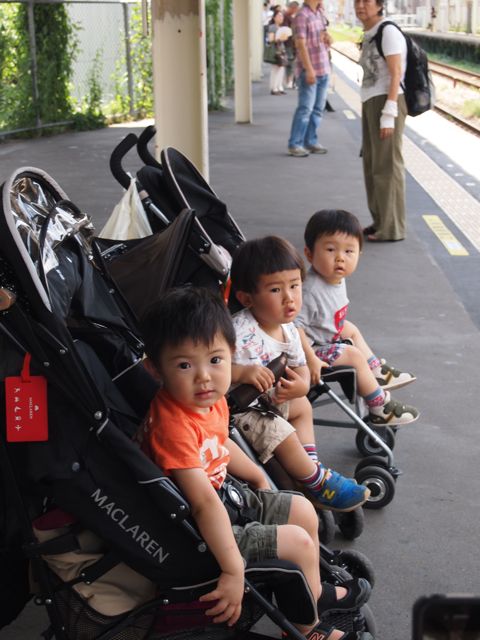 a0151615_10375523.jpg