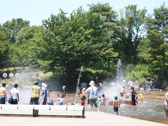 a0151615_11363557.jpg