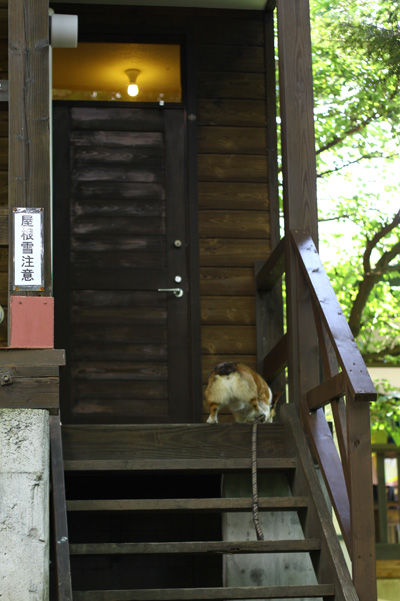 e0071225_0152423.jpg
