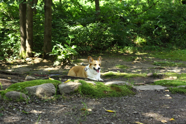 e0071225_0181968.jpg