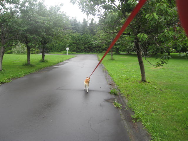 e0191826_01115.jpg