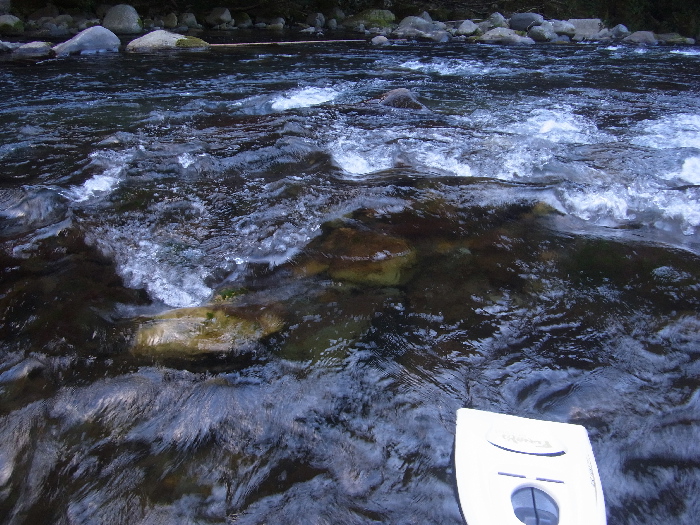f0103126_2047387.jpg