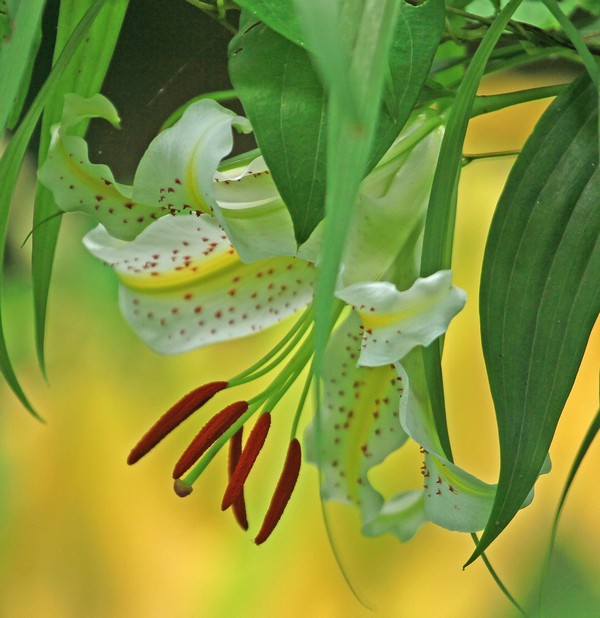 c0104227_1041067.jpg
