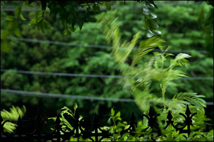 d0029829_18482429.jpg