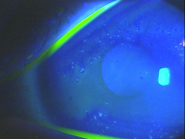f0088231_1454762.jpg