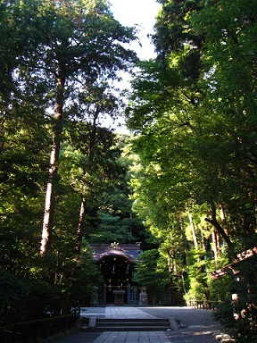 d0062132_14542451.jpg