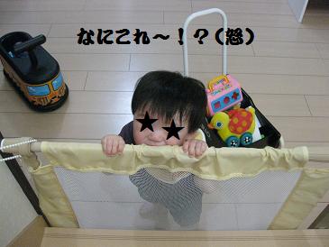 b0079436_21305522.jpg
