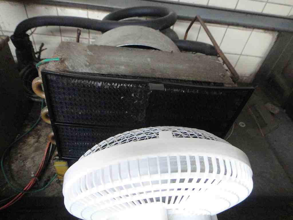 f0208737_926059.jpg
