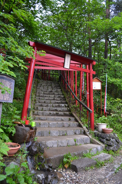e0228938_2035180.jpg