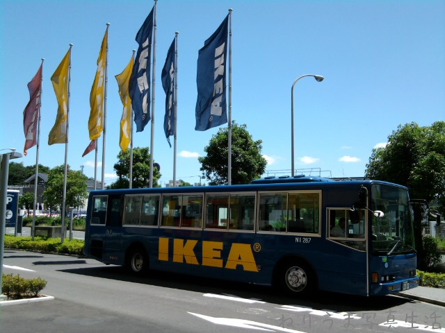 a0009142_12142234.jpg