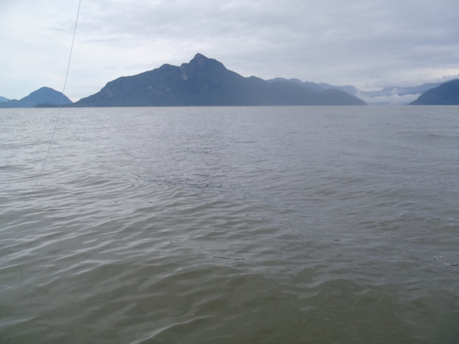 f0084544_331572.jpg