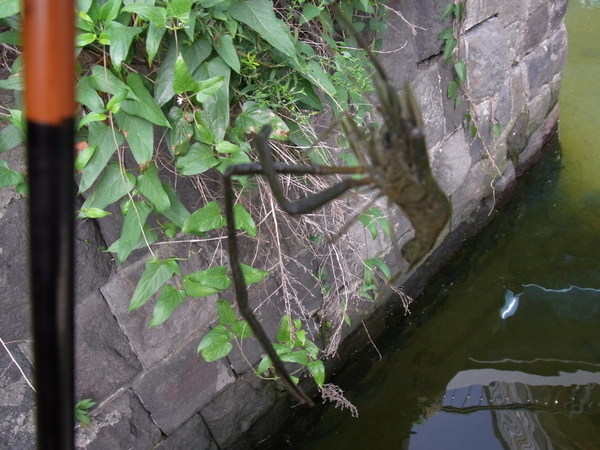 a0175545_13171831.jpg