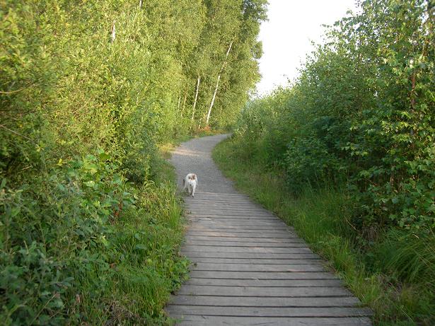 c0084146_14592125.jpg