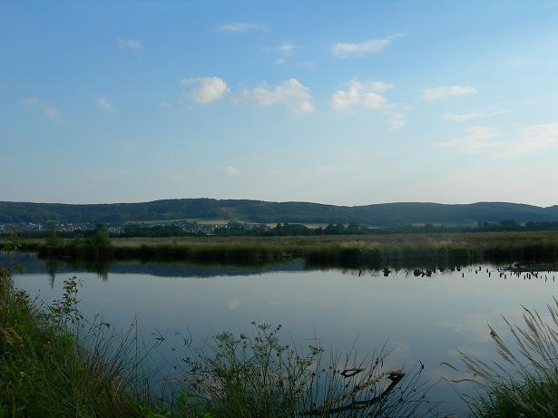 c0084146_14593168.jpg