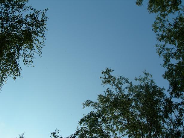 c0084146_14594719.jpg