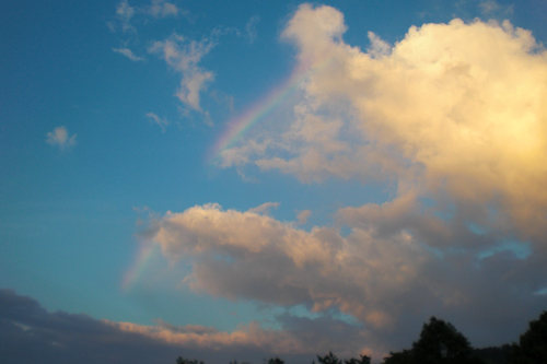 b0170264_2031566.jpg