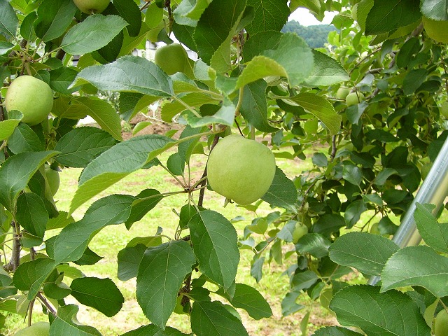 b0218664_10282736.jpg
