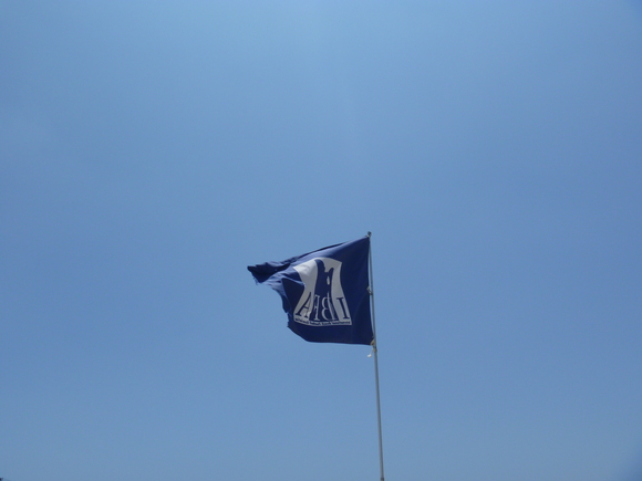 b0164568_732279.jpg