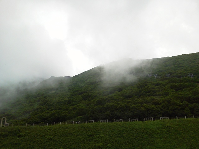 d0131668_16531387.jpg