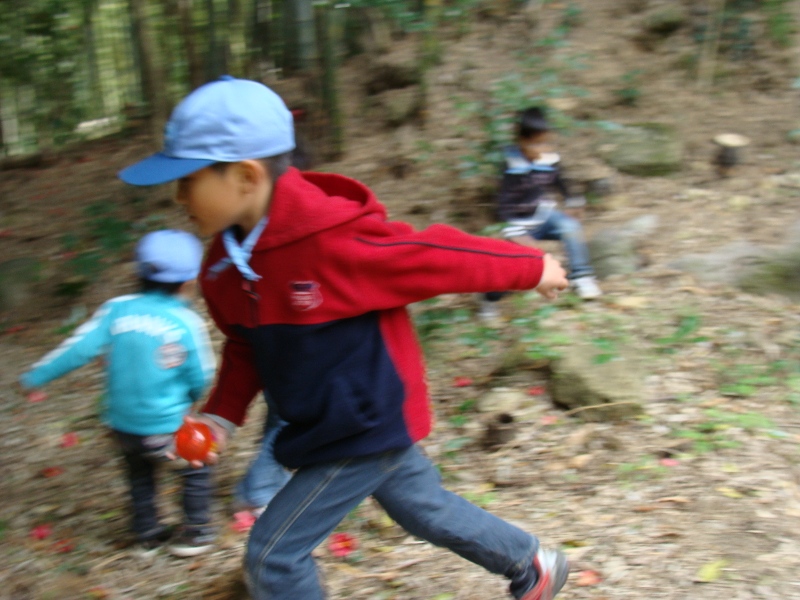 a0068370_0215958.jpg