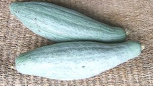 e0189070_8343571.jpg