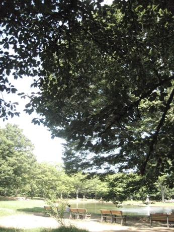 f0189373_22381630.jpg