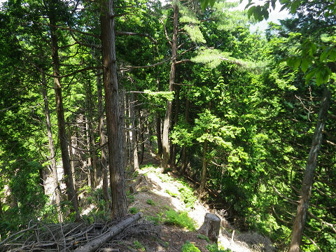 c0002874_7143332.jpg