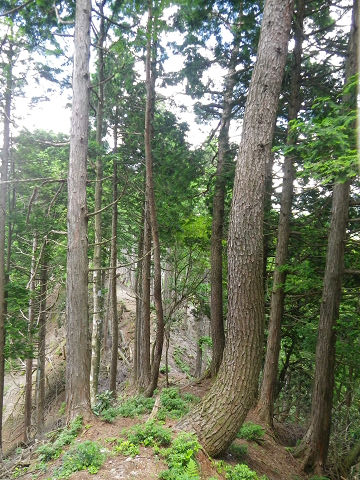 c0002874_7154679.jpg
