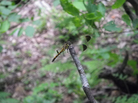 c0002874_7172116.jpg