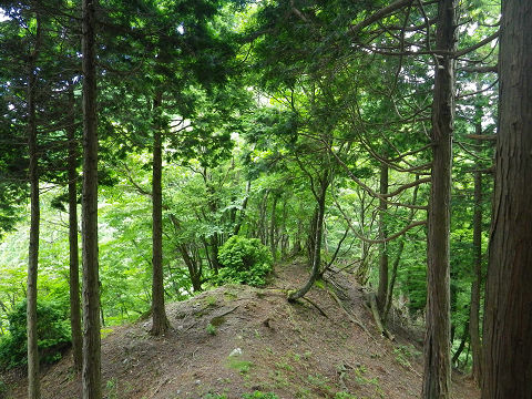 c0002874_7184358.jpg