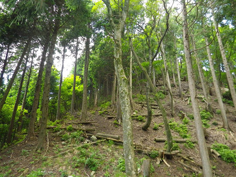 c0002874_7203631.jpg