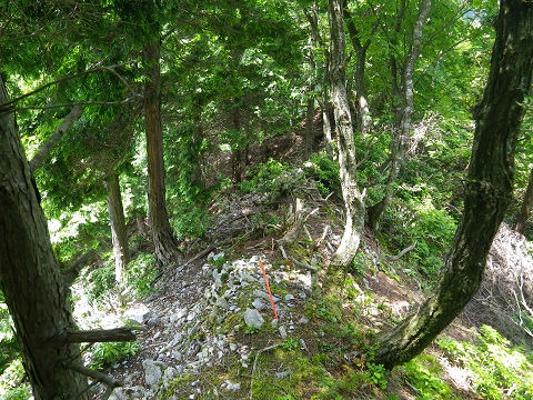 c0002874_74113.jpg