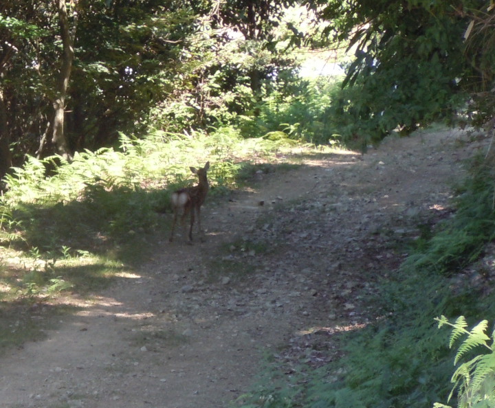 f0068291_21443941.jpg