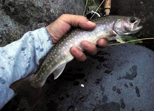 f0141392_120860.jpg