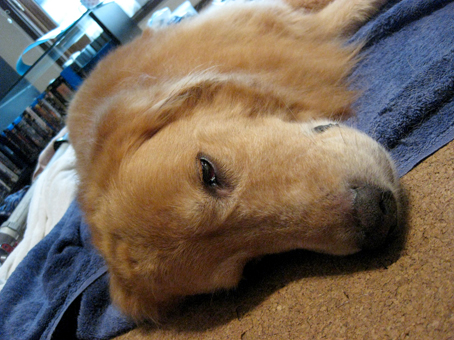 c0096393_2243637.jpg
