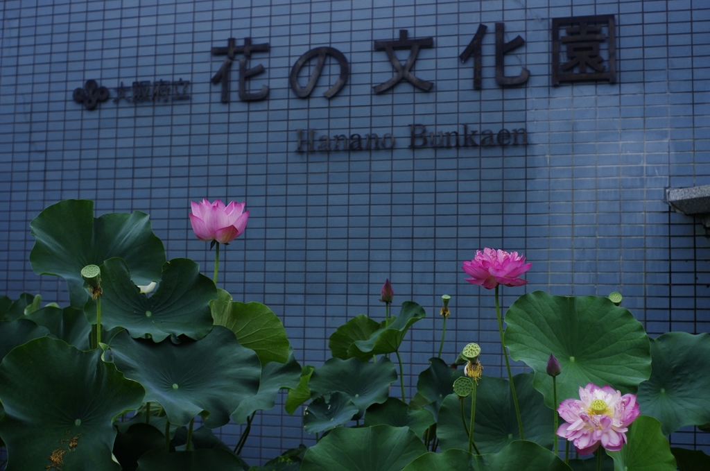 b0138101_2333610.jpg