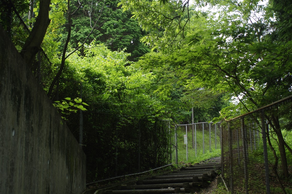 b0138101_2334694.jpg