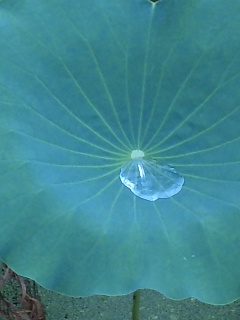 e0087901_22102864.jpg