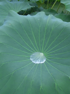 e0087901_22104670.jpg