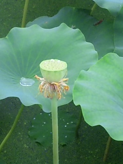 e0087901_2272363.jpg