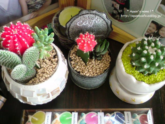 c0122007_101845100.jpg