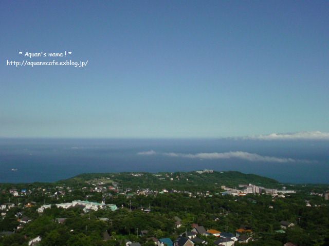 c0122007_108174.jpg