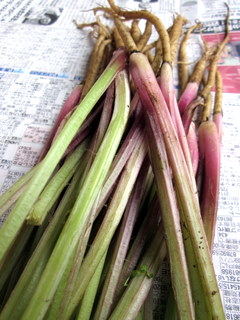 f0144707_16524889.jpg