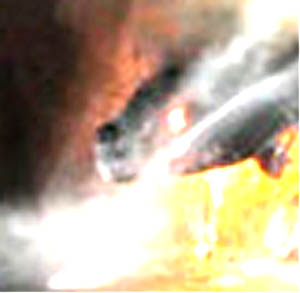 e0103408_2342948.jpg