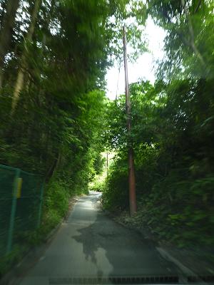 f0226208_1414371.jpg