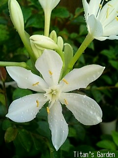b0099813_055356.jpg