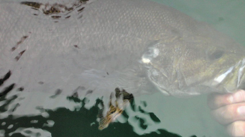 d0163916_12261751.jpg