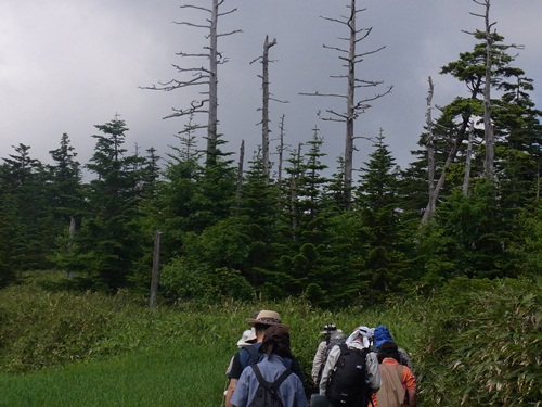c0223117_0333599.jpg